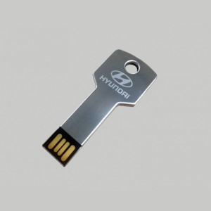 Key Shape USB Sticks